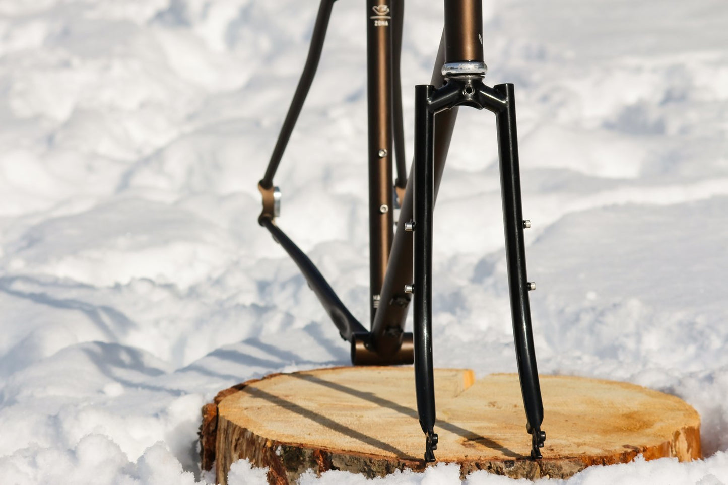 Pine Cycles RASA Frame and Steel Disc/Rim Fork