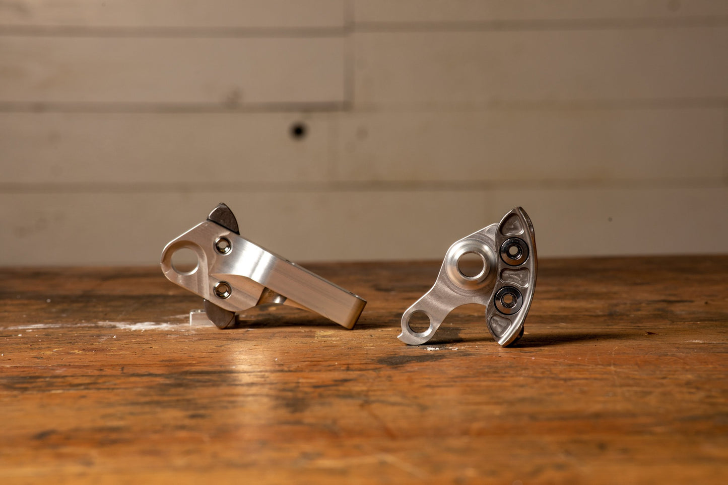 Pine Cycles RASA Frame, Headset, and Carbon Disc Fork