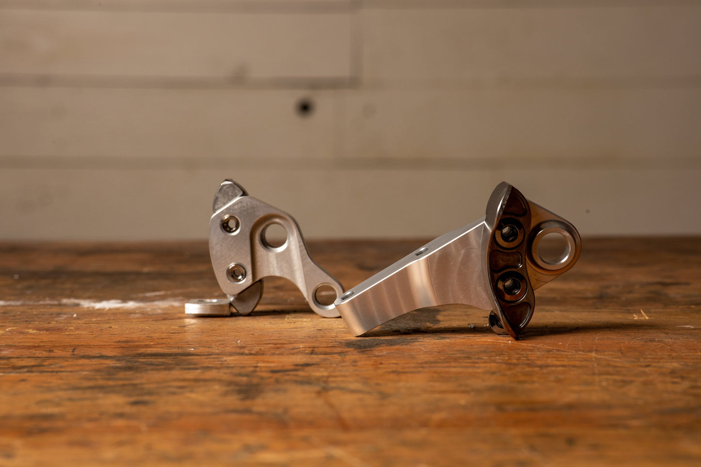 Pine Cycles RASA Frame, Headset, and Carbon Disc Fork