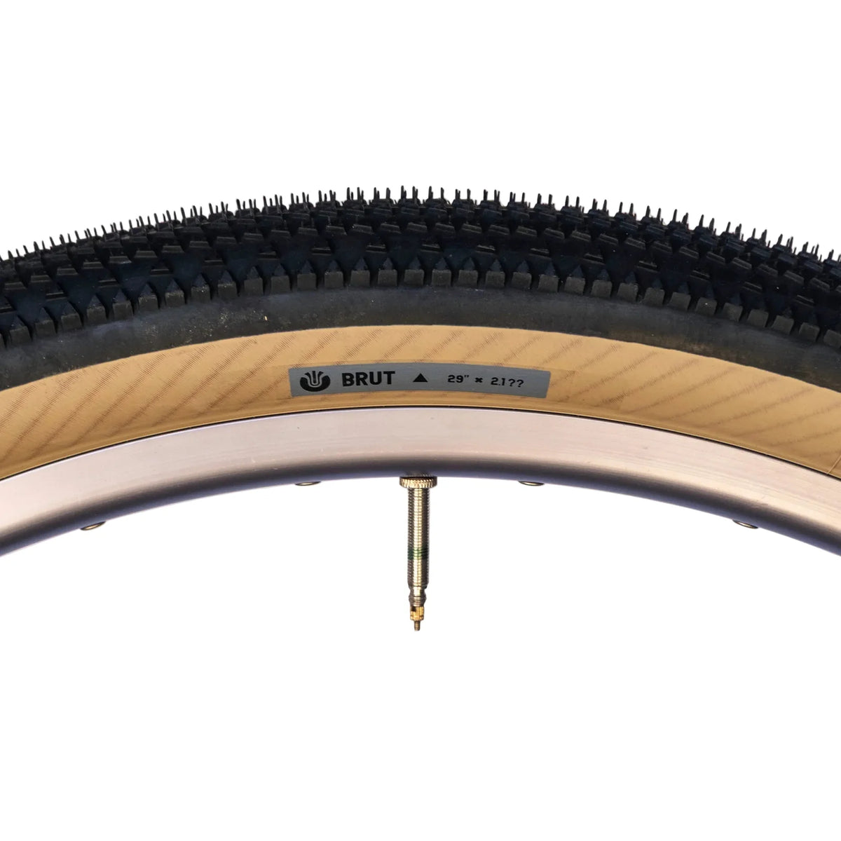 Ultradynamico BRUT JFF 29 x 21???