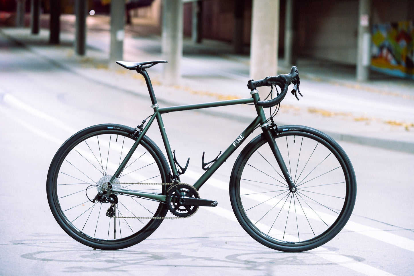 Pine Cycles RASA Frame, Headset, and Carbon Disc Fork