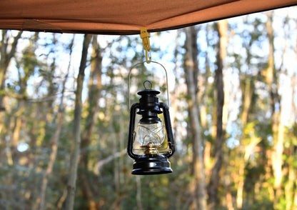 Ouroboros Carabiner Clips